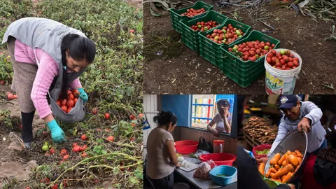 Recuperación de alimentos