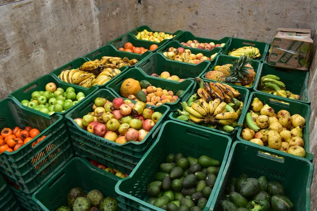 Recuperación de alimentos_0058