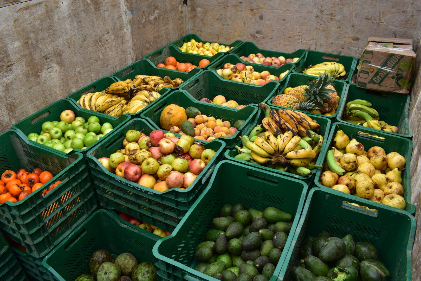 Recuperación de alimentos_0058