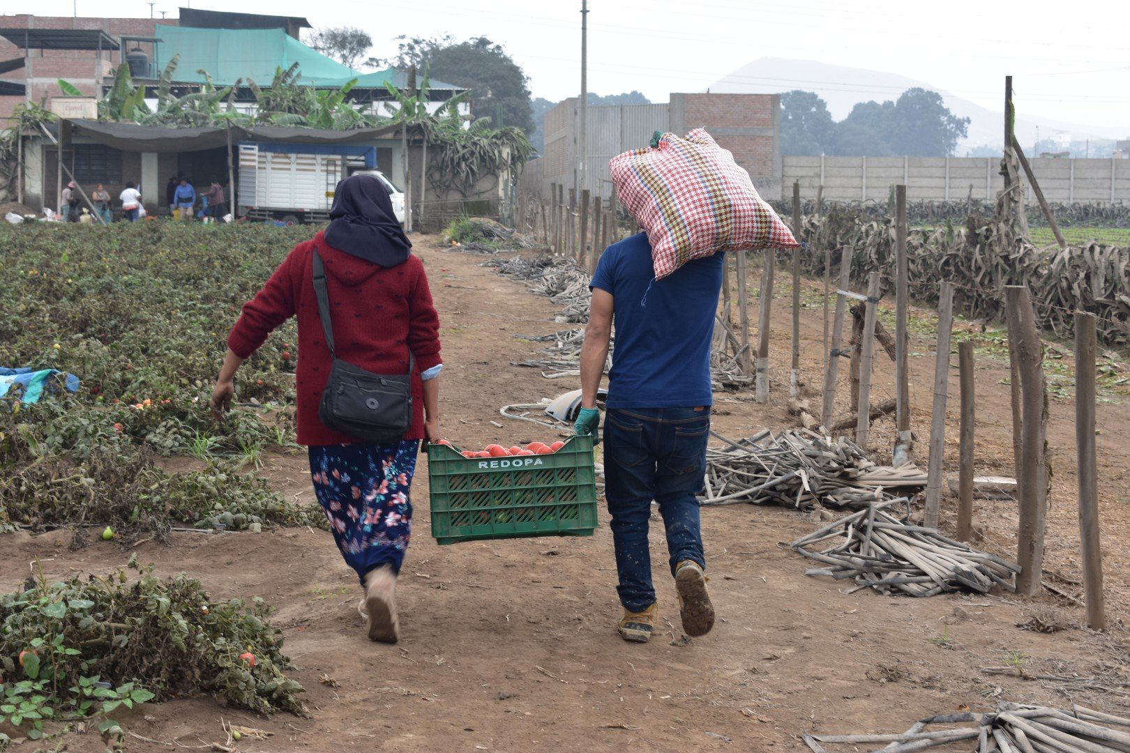 Recuperación de alimentos_0265