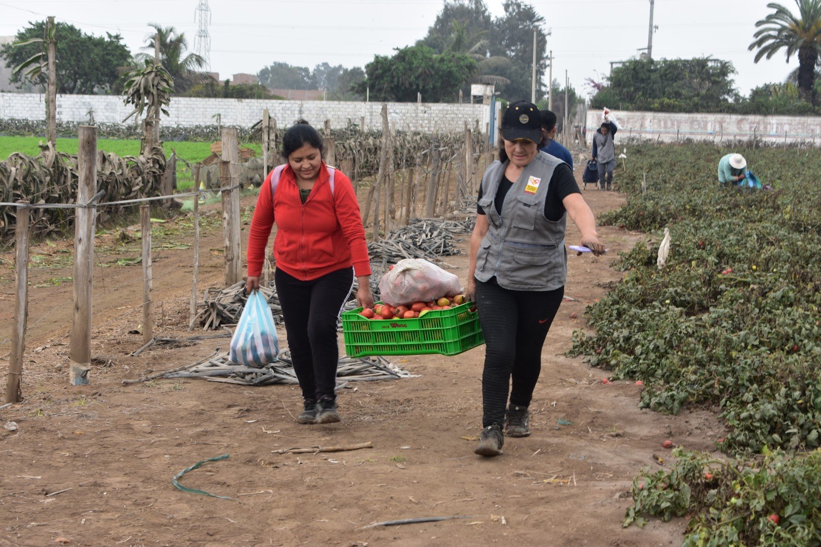 Recuperación de alimentos_0267