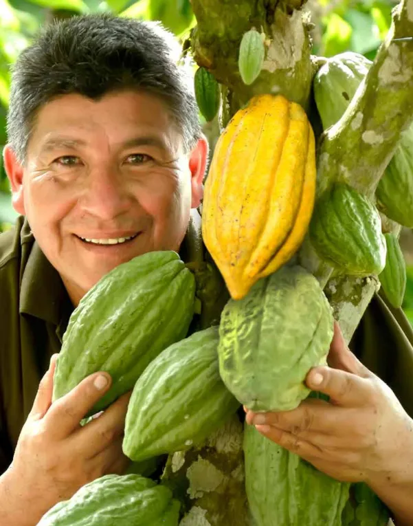 Rolando Herrera Cacao.png