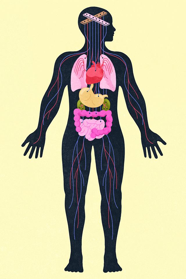 SCI BRODY HEALTH-0.jpg