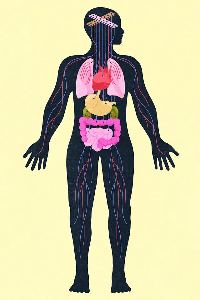 SCI BRODY HEALTH-0.jpg