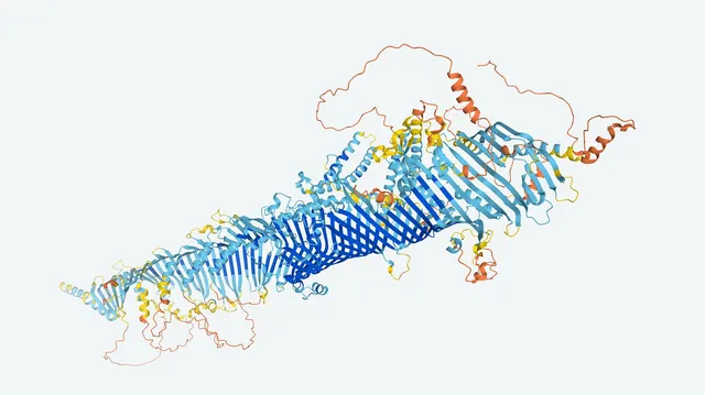 SCI PROTEIN SHAPES
