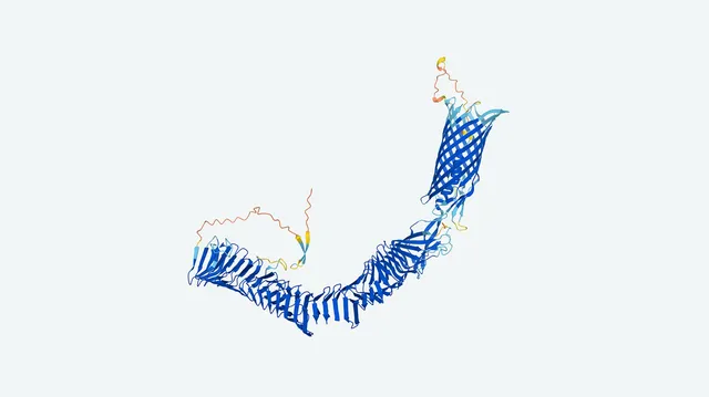 SCI PROTEIN SHAPES 3-0.jpg
