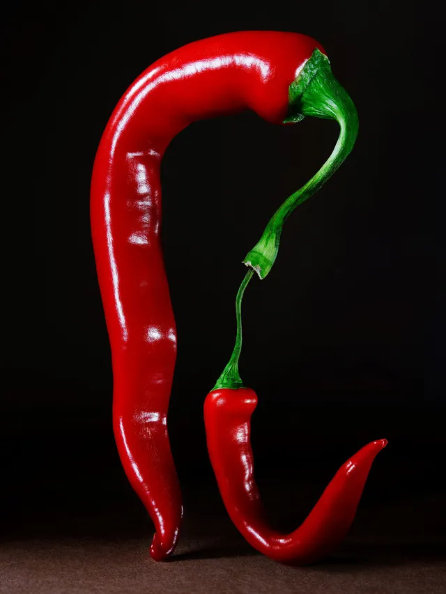 SCI SPICY FOODS 1-1