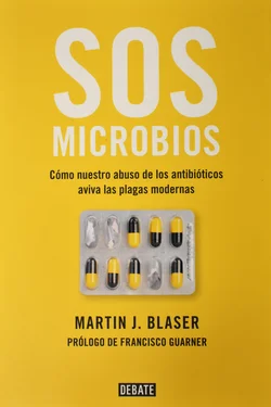 SOS microbios.jpg
