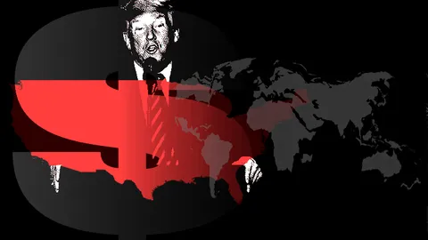 TRUMP 1.png