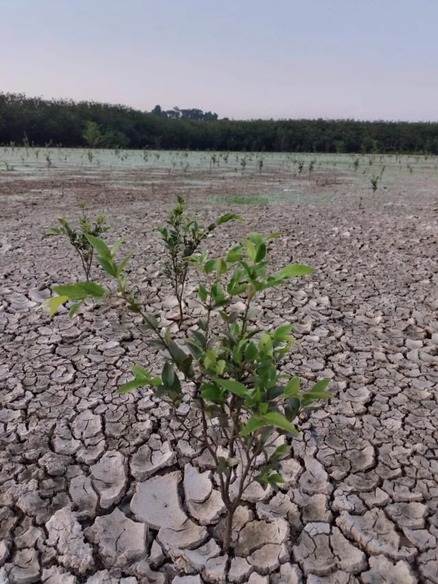 Tierra-seca-afectaciones-cambio-climA¡tico-1152x1536