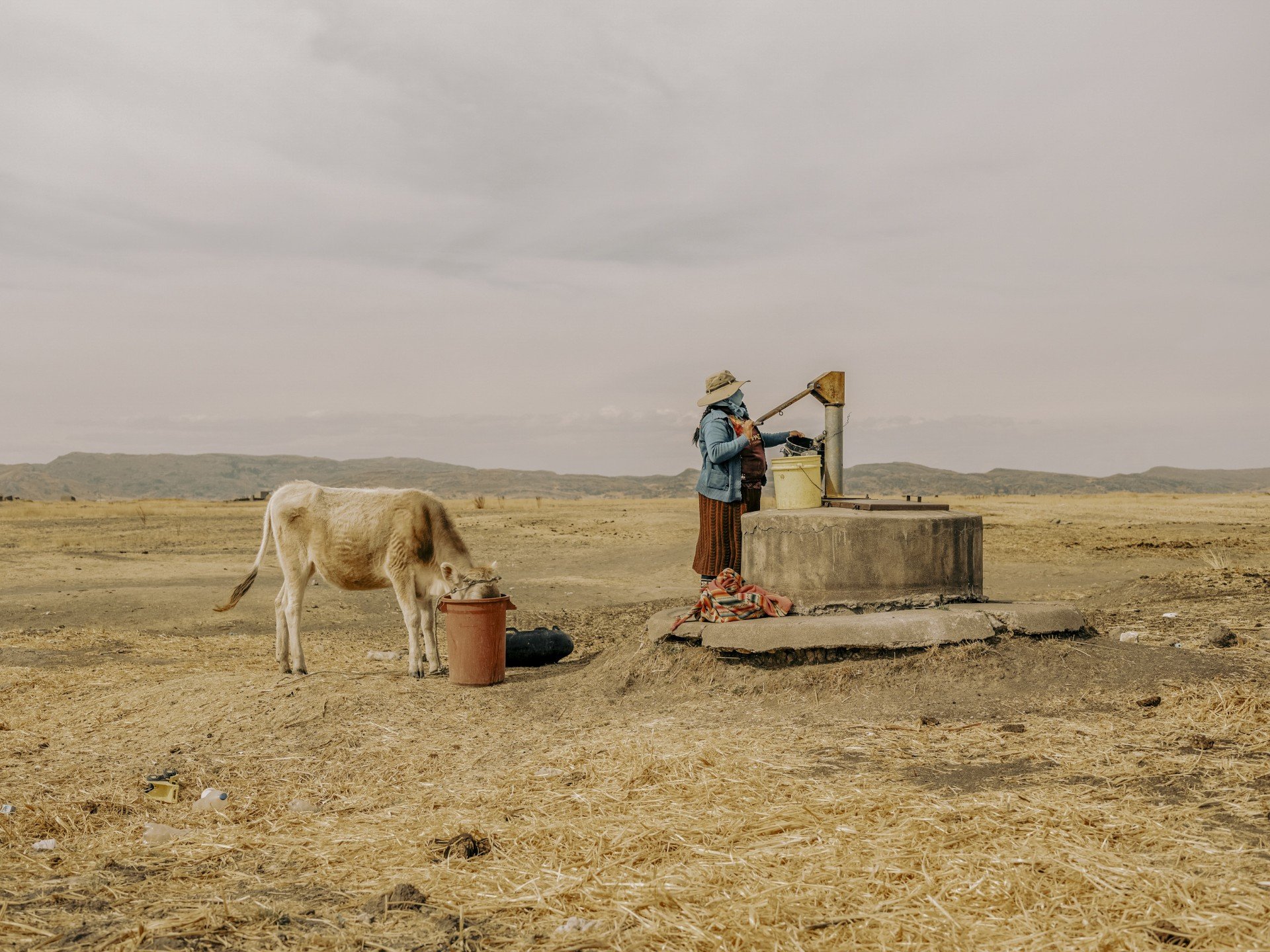 Animales (vacas y burros) reunidos en torno a un pequeño pozo o bomba de agua en medio de una pampa desértica. Muestra la escasez extrema para el ganado.