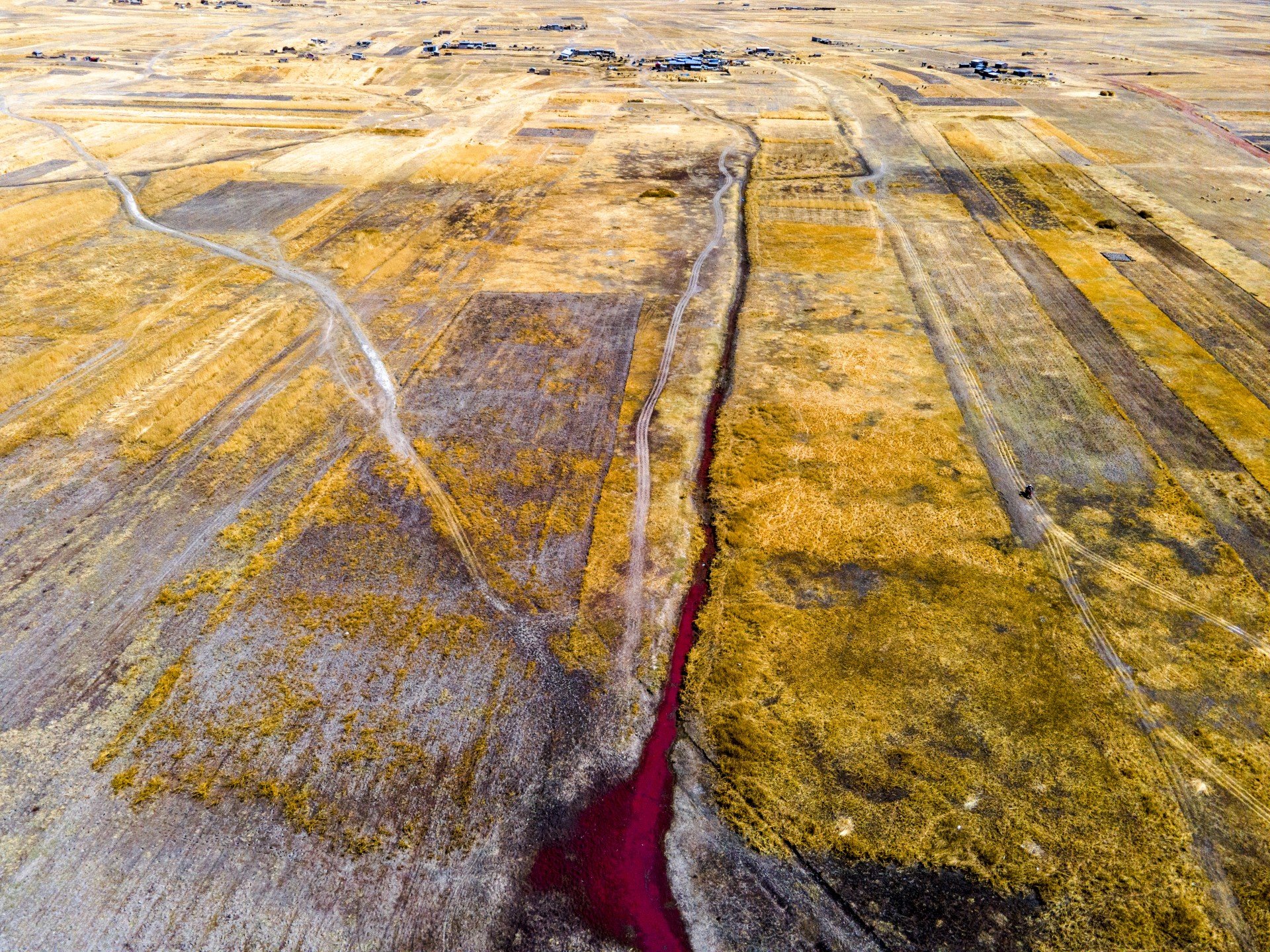 Titicaca_MusukNolte_021