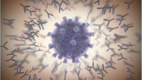 sars-cov-2-antibodies