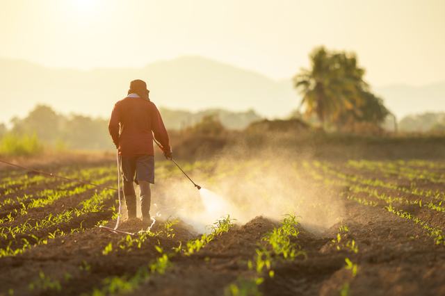 asian-farmer-working-field-spraying-chemical