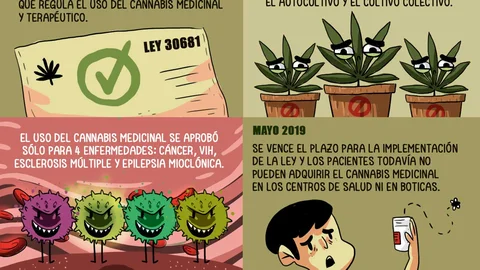 cannabis medicinal.jpg