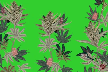 cannabis mitos card.jpg