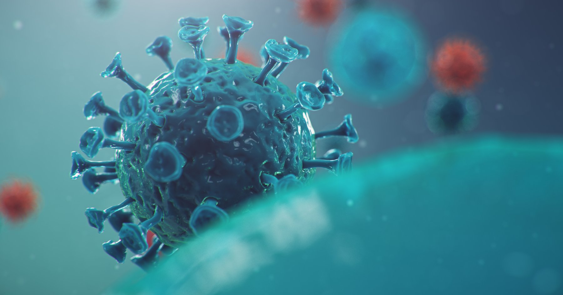 Coronavirus: la vida en tiempos de pandemia - Salud con lupa