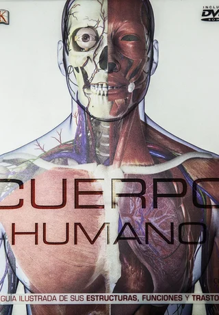 Cuerpo humano.jpg