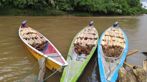 extraccion-balsa_territorio-Achuar-Ecuador_Fundacion-Pachamama_IMG_20200930_121622-cover-1400x934