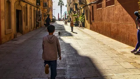 file-20251209-56-kfsuxk