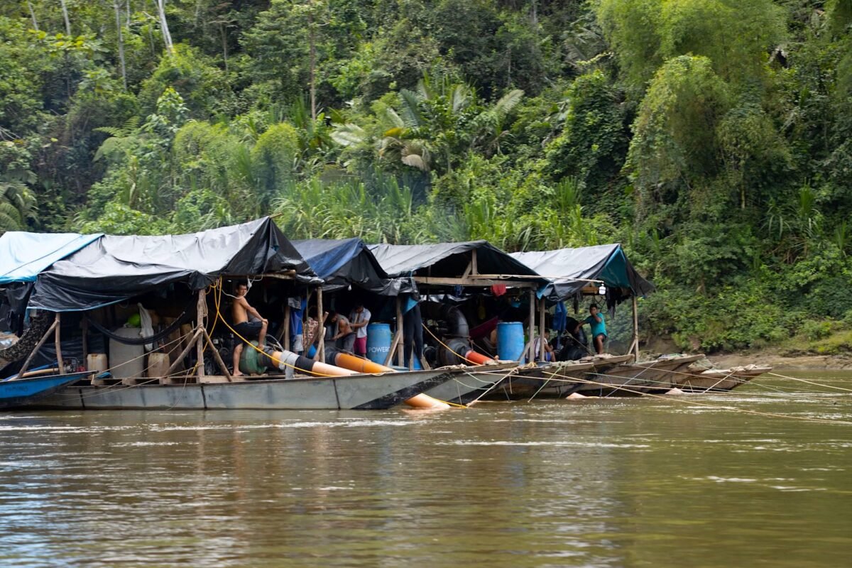 Embarcaciones ilegales en el río Cenepa