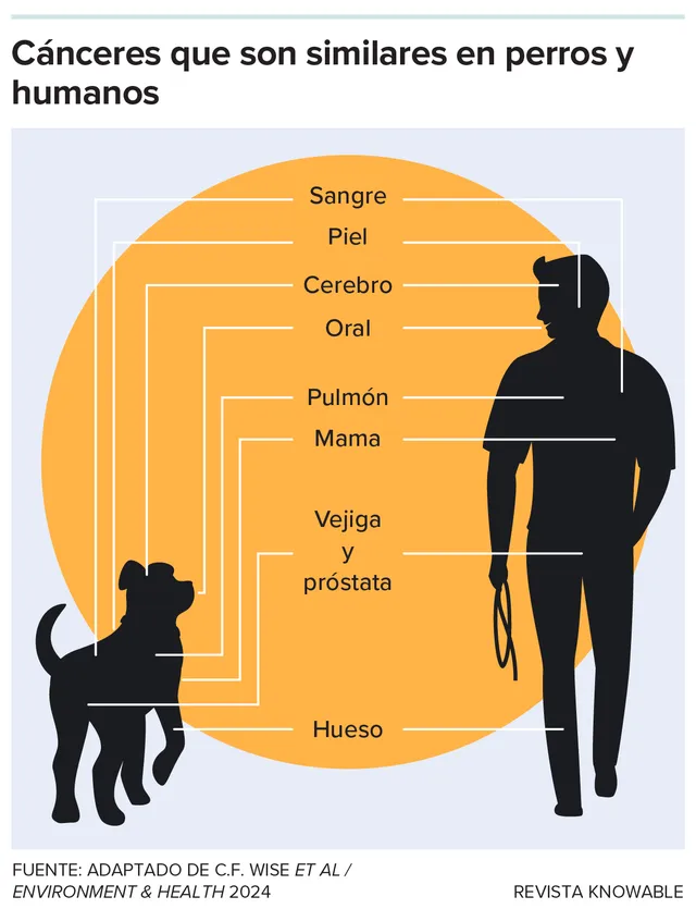 g-cancers-similar-dogs-people-kee