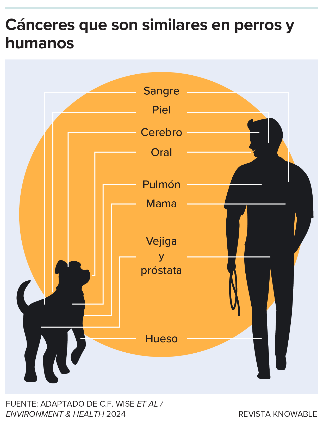 g-cancers-similar-dogs-people-kee