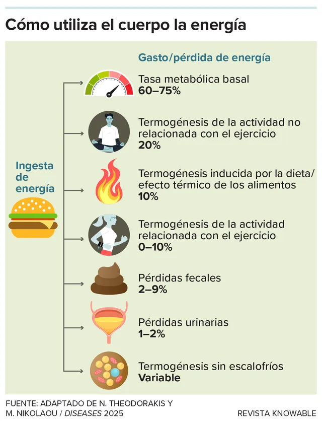 g-how-body-uses-energy-kee