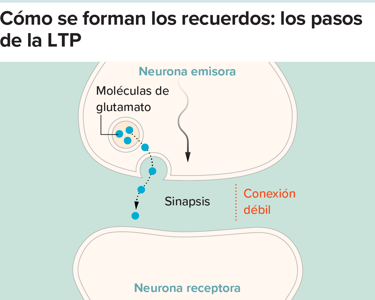 g-how-memories-form-ltp1-kee