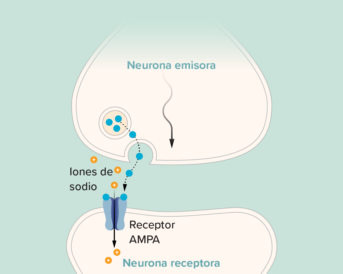 g-how-memories-form-ltp2-kee