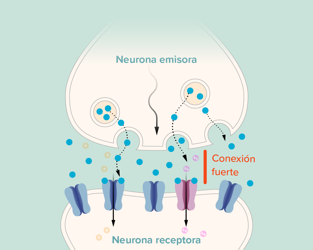 g-how-memories-form-ltp4-kee