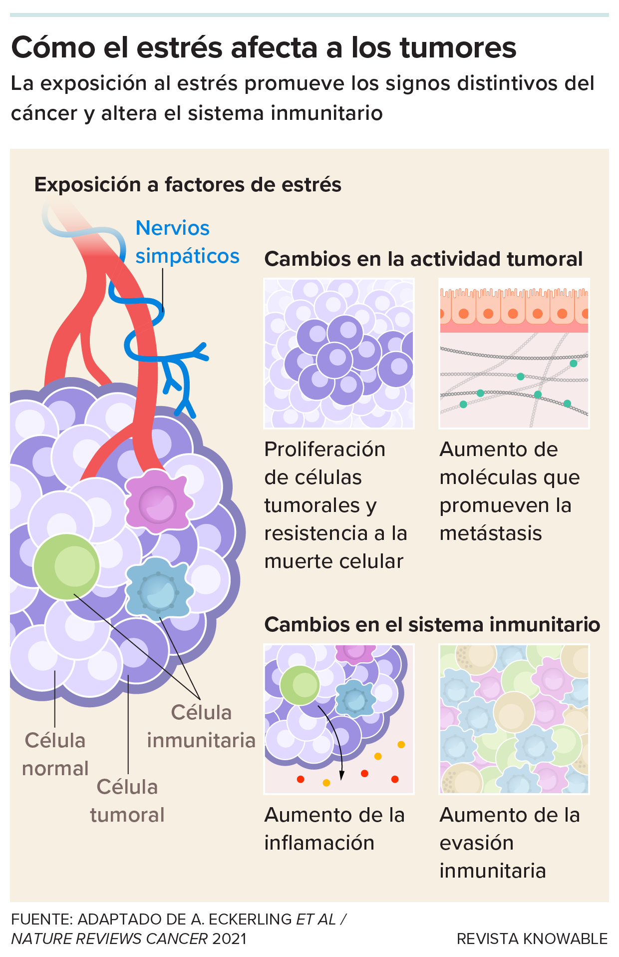 g-how-stress-affects-tumor-kee