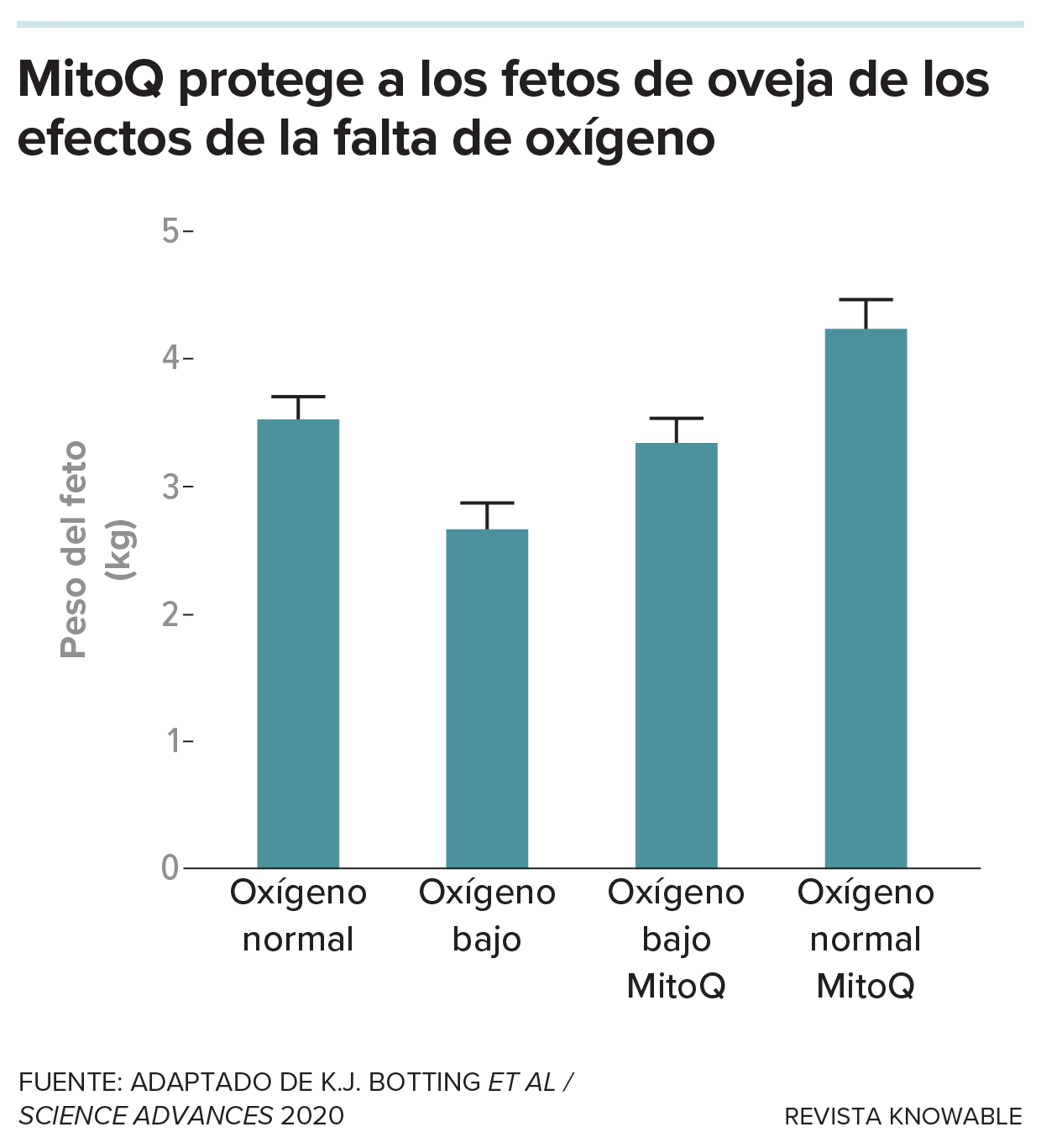 g-mitoq-fetal-sheep-kee