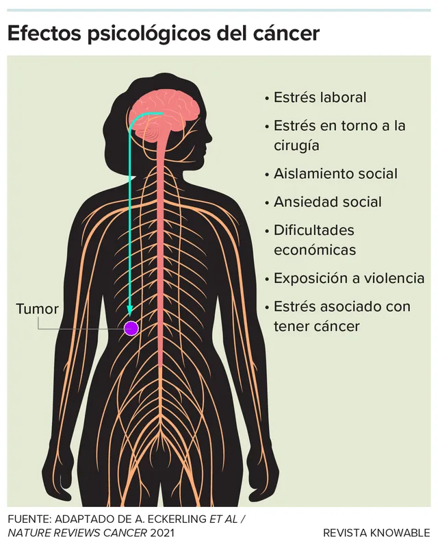 g-psychological-effects-cancer-kee