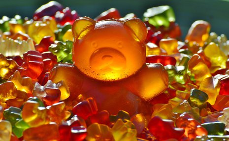 giant-rubber-bear-1089612_1920 (1).jpg