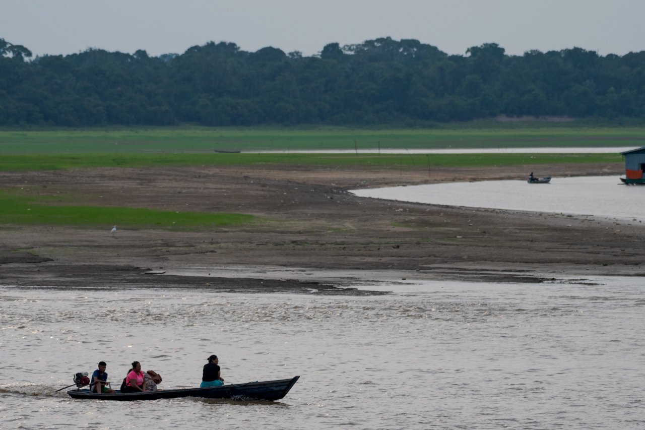 C:\fakepath\image (148).png