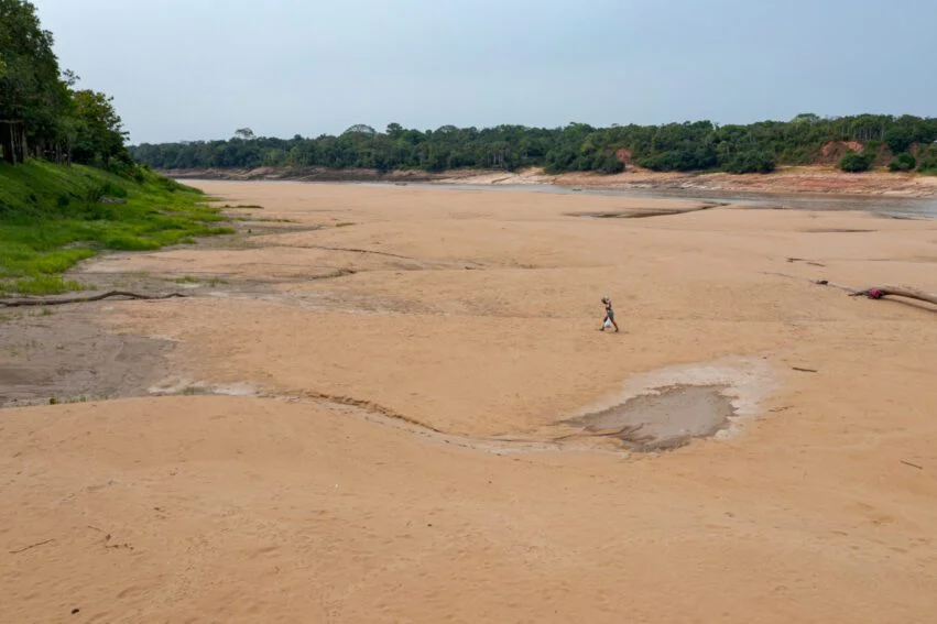 C:\fakepath\image (150).png