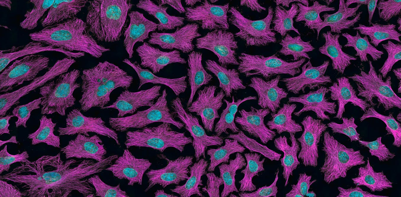 C:\fakepath\image (153).png