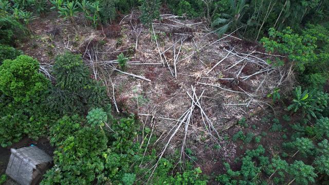 imagen-aerea-balsa-deforestada_territorio-Sharamentsa_Ecuador_Moises-Peas-Senkuan