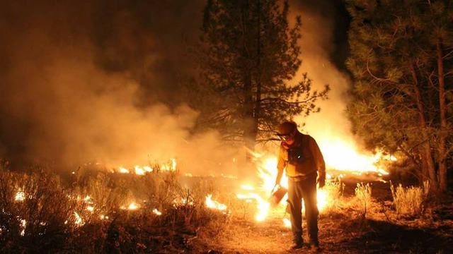 incendios-bosques-mexico-deforestacion-2024-2