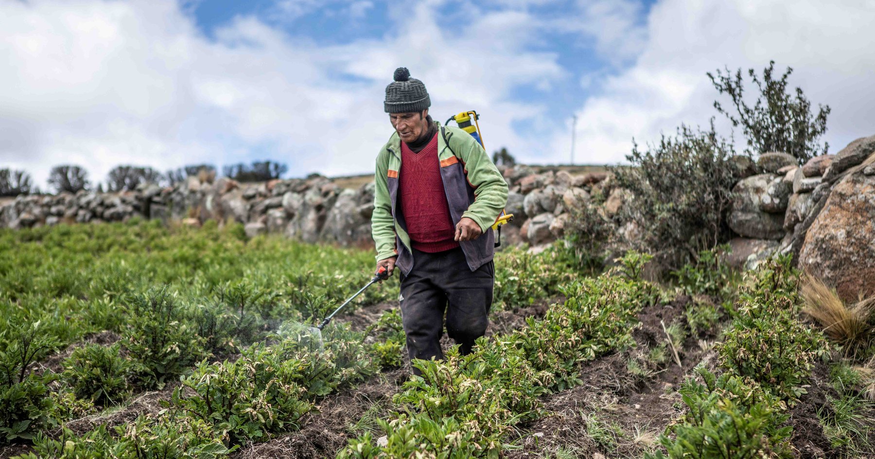 Entre heladas y sequías: la resistencia de los agricultores en los Andes