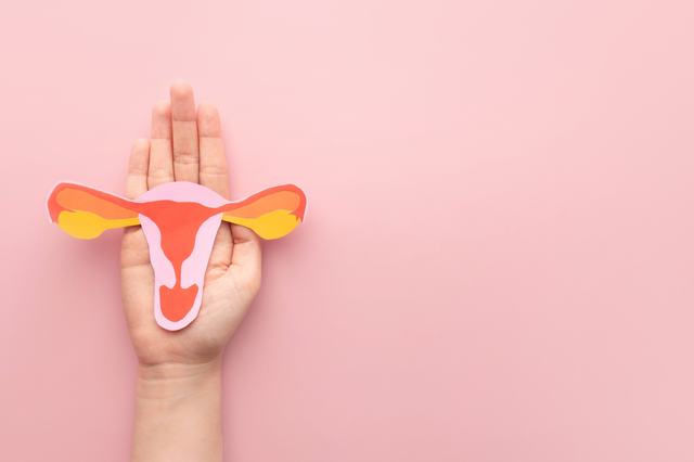 menstruacion