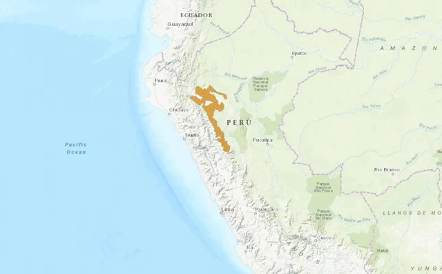 mono_Peru