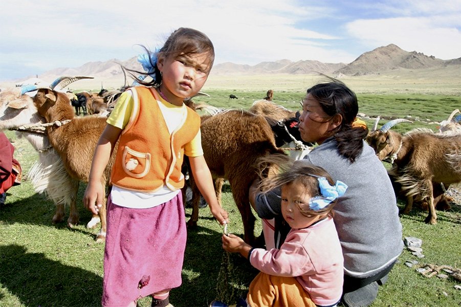 p-tuvan-family-goats