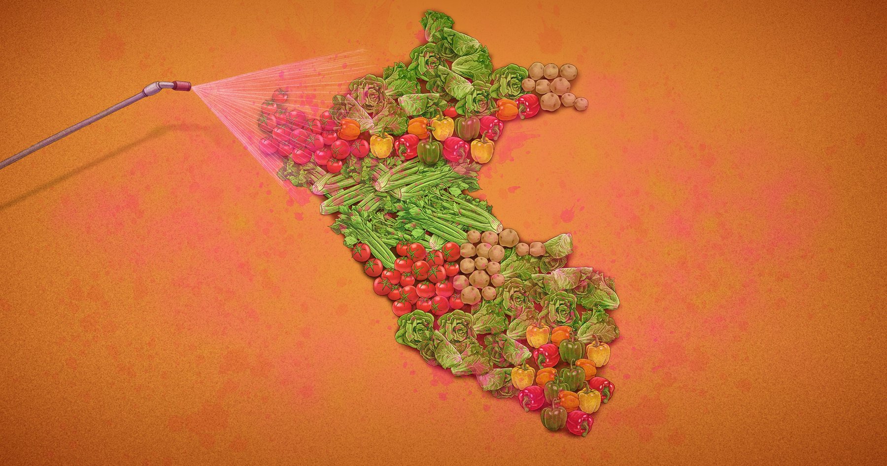 Verduras Contaminadas Con Plaguicidas Se Venden En 18 Mercados Y