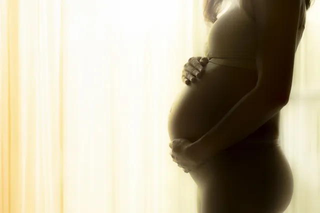 pregnant-4839951_1920.jpg