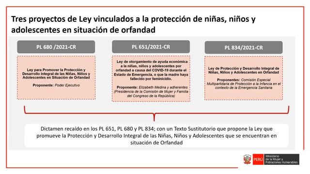 proyectos ley orfandad