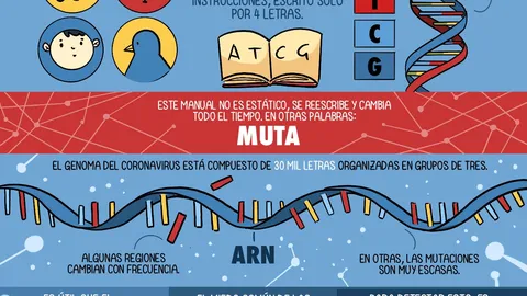 El coronavirus está mutando y eso no lo hace más peligroso
