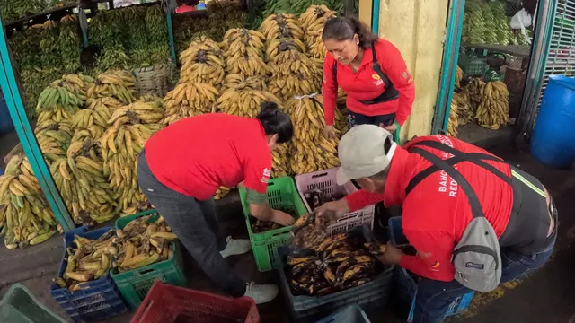 Integrantes de las ollas comunes de REDOPA recuperan plátanos en un mercado de San Luis, una labor que la ley promueve desde 2022 pero que el Estado aún no termina de reglamentar en los mercados