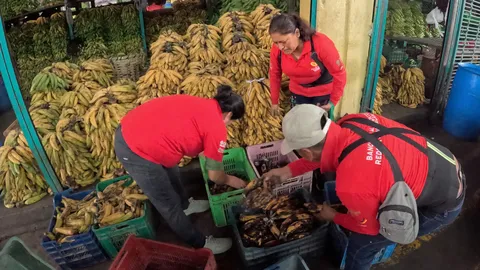 Ellas recuperan alimentos para miles de personas, mientras tres ministerios siguen sin cumplir medidas clave